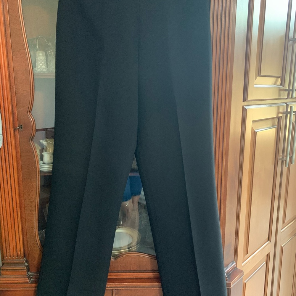 Ann Taylor Dress Pants